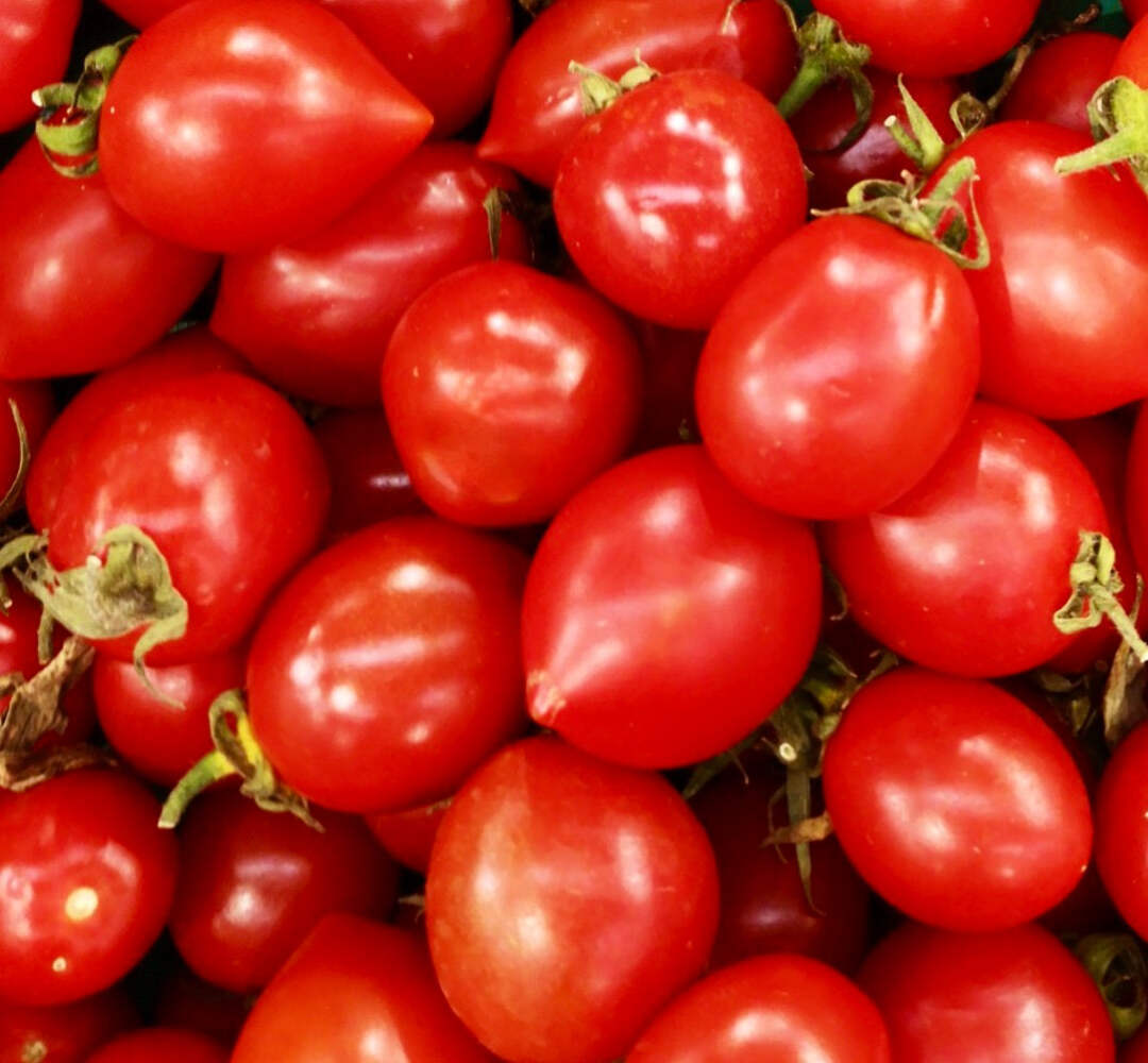 Solanum lycopersicum var. cerasiforme ‘Principe Borghese’ SEEDS – Cherry tomato