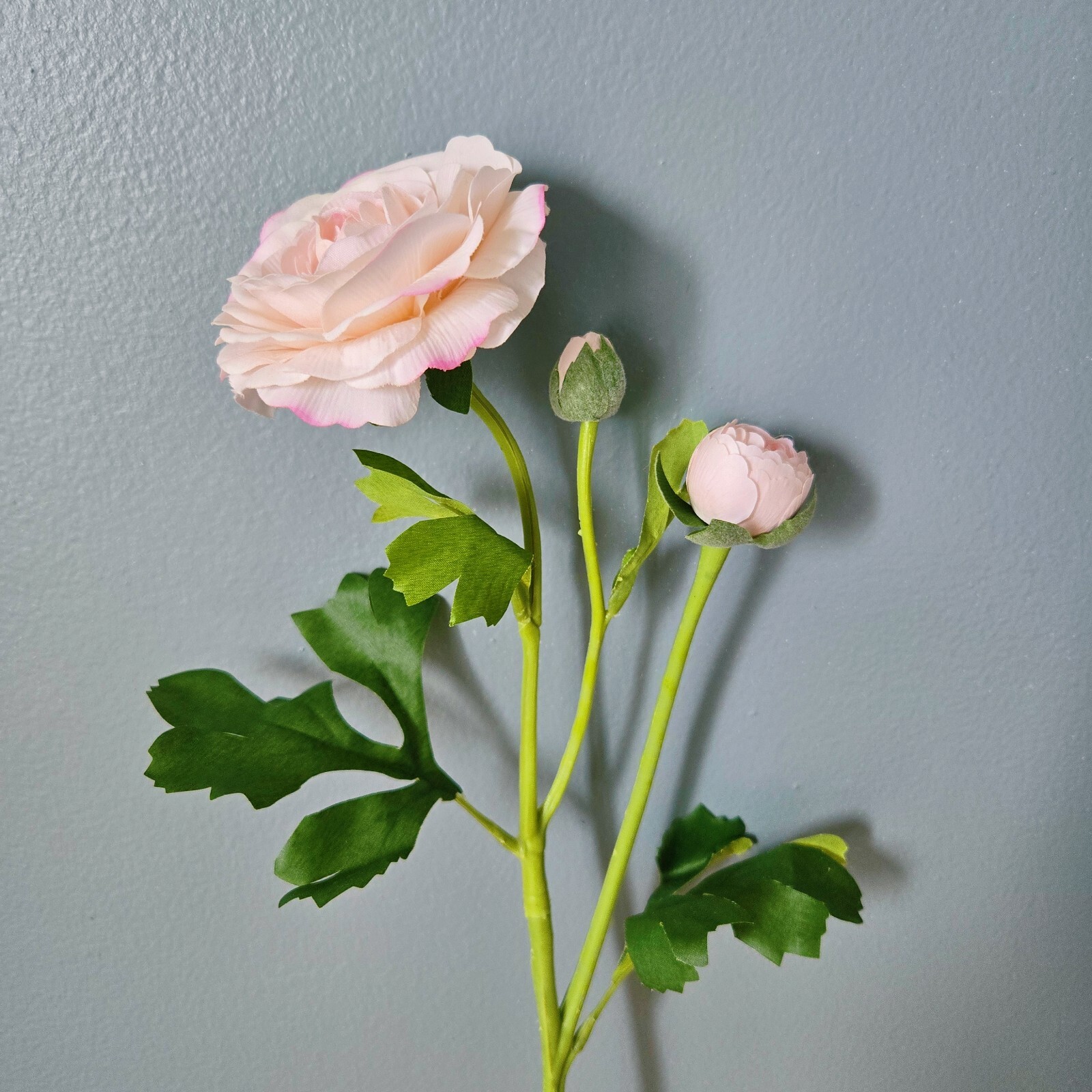 10PCS ranunculus bouquet, each featuring one open bloom and one bud.