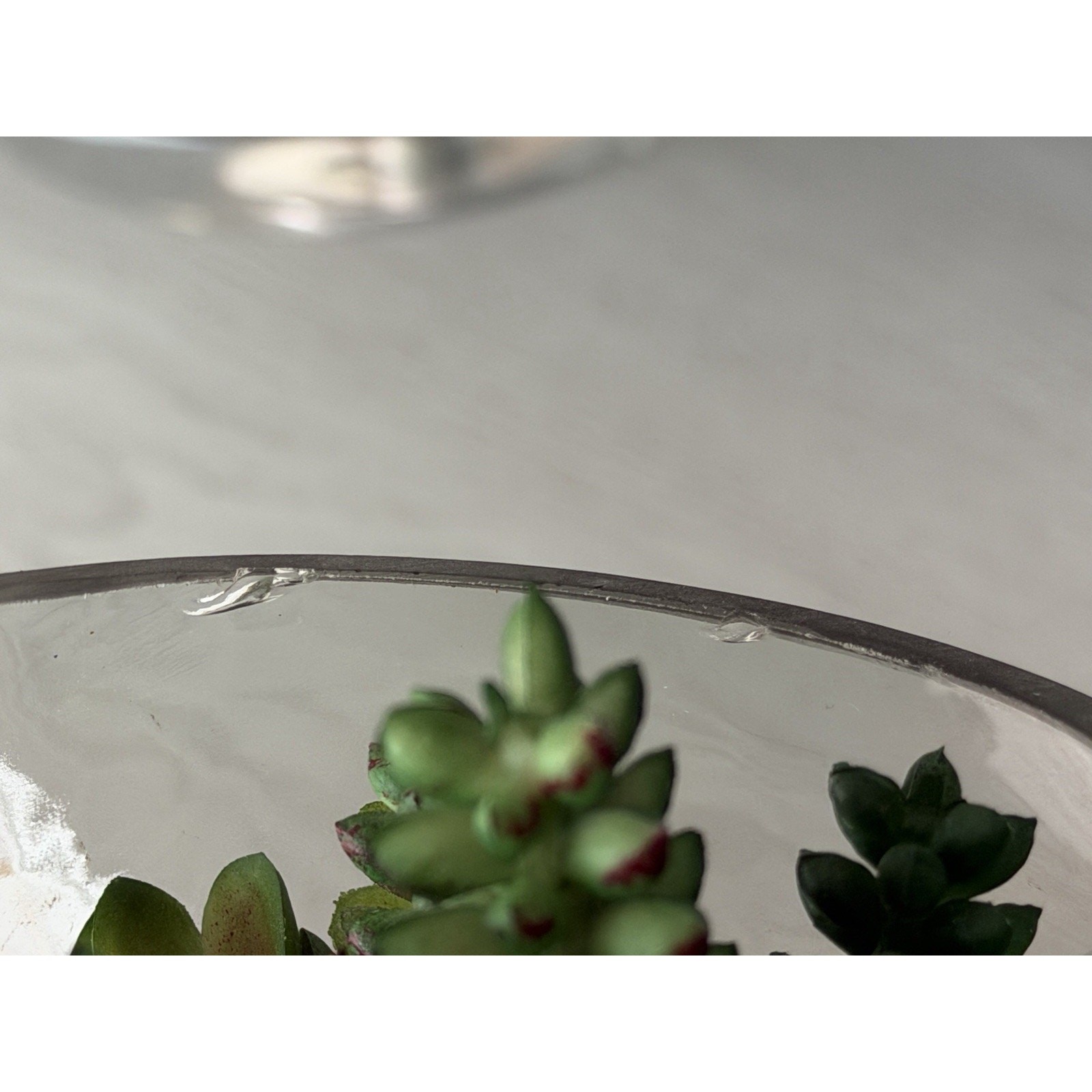 Faux Succulent Terrarium Bowl • Glass Cactus Arrangement • Tabletop Home Decor