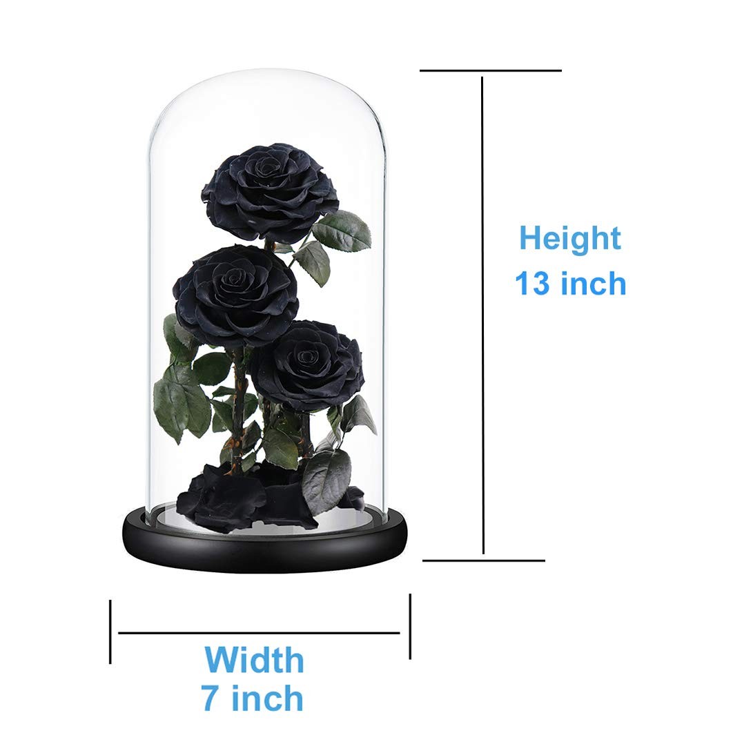 Black Preserved Roses in Glass Dome – Eternal Flowers Gift for Her, 13 Inch