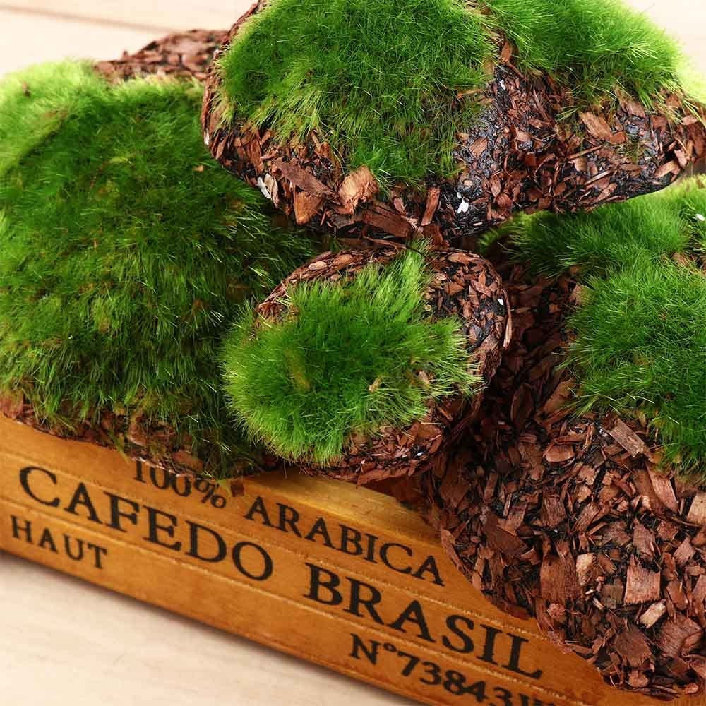 12PCS Artificial Rock for Moss Miniature Micro Landscap Home Garden Decoratio…