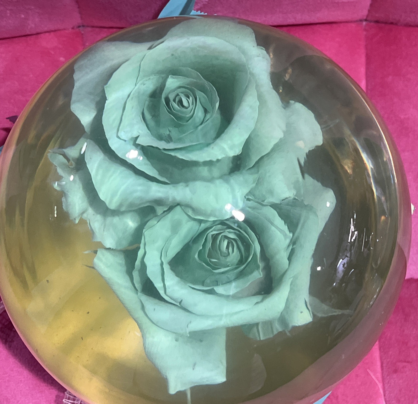 Vtg. Green Eternal Rose Real Preserved Rose Ball In Water Dome/Globe; Lg 6”-7”
