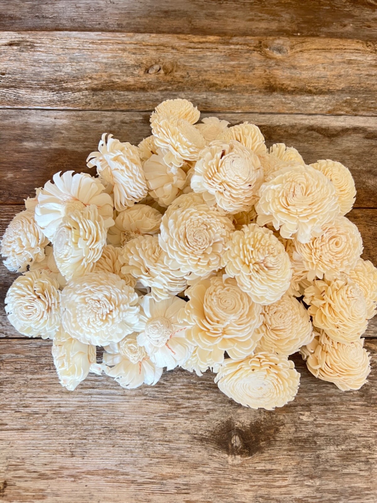 Chorki Belly Sola Wood Flowers – Set of 50 – Craft Flowers