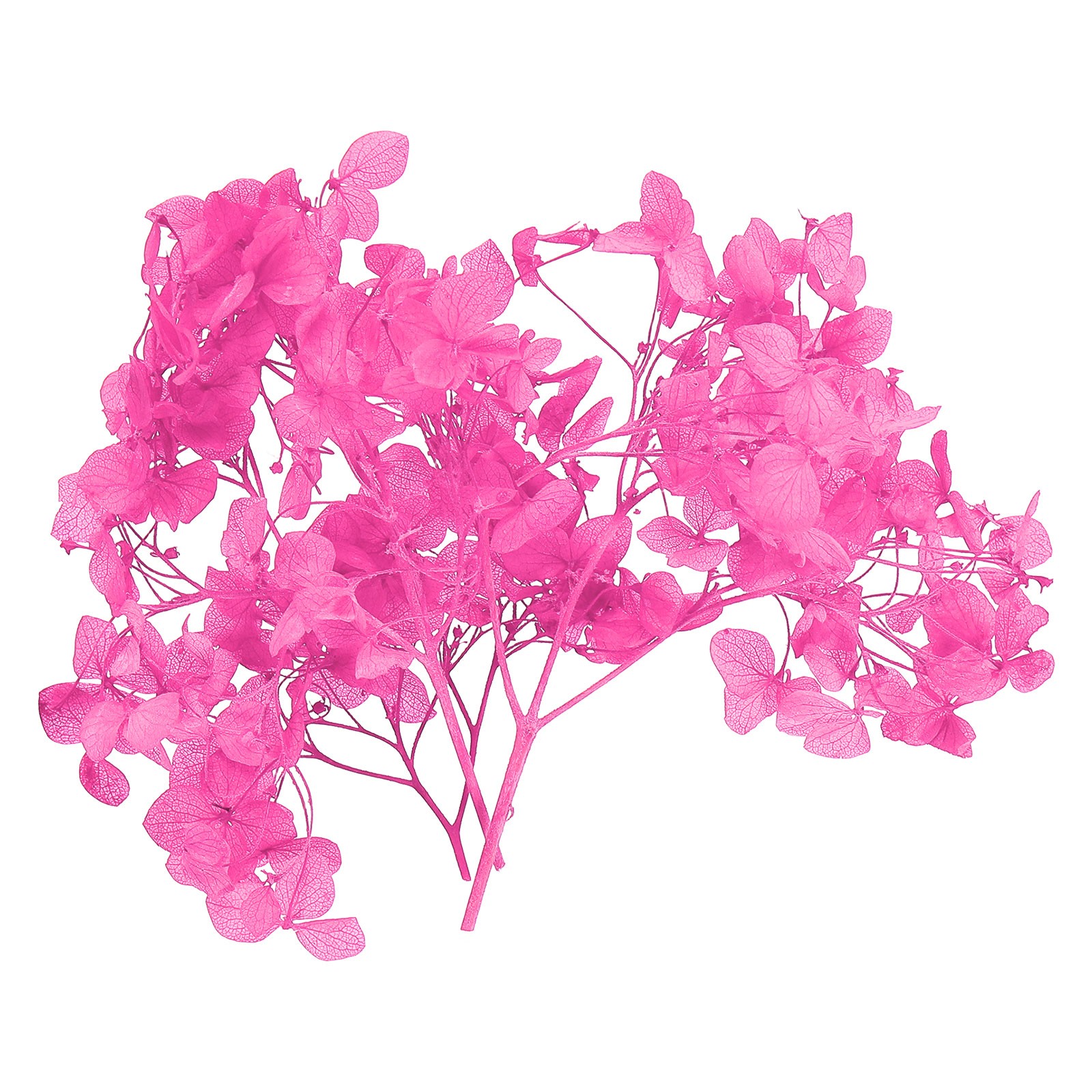 Rose Pink Dried Hydrangea Flower 10g Natural Pressed Flowers for DIY Resin Craft