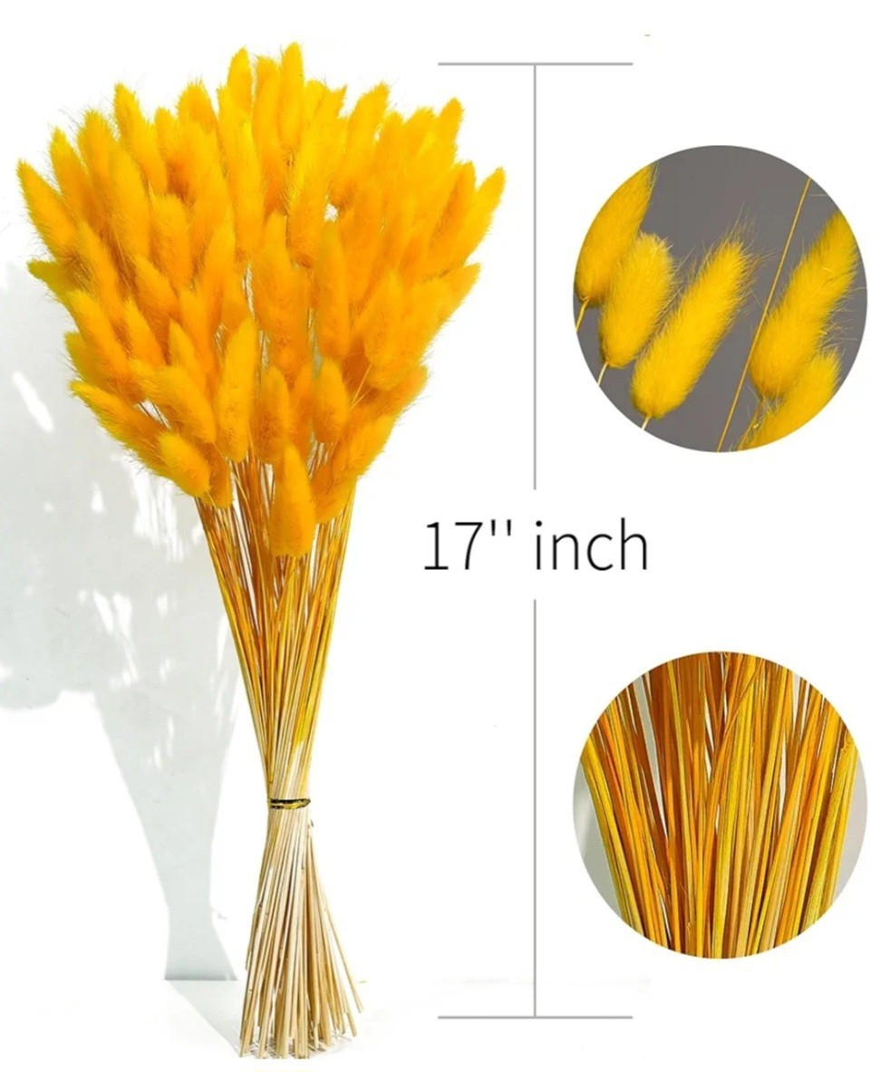 Orange Dried Pampas Grass Decor, 17-inch Pompas Floral, Dry Flowers for…