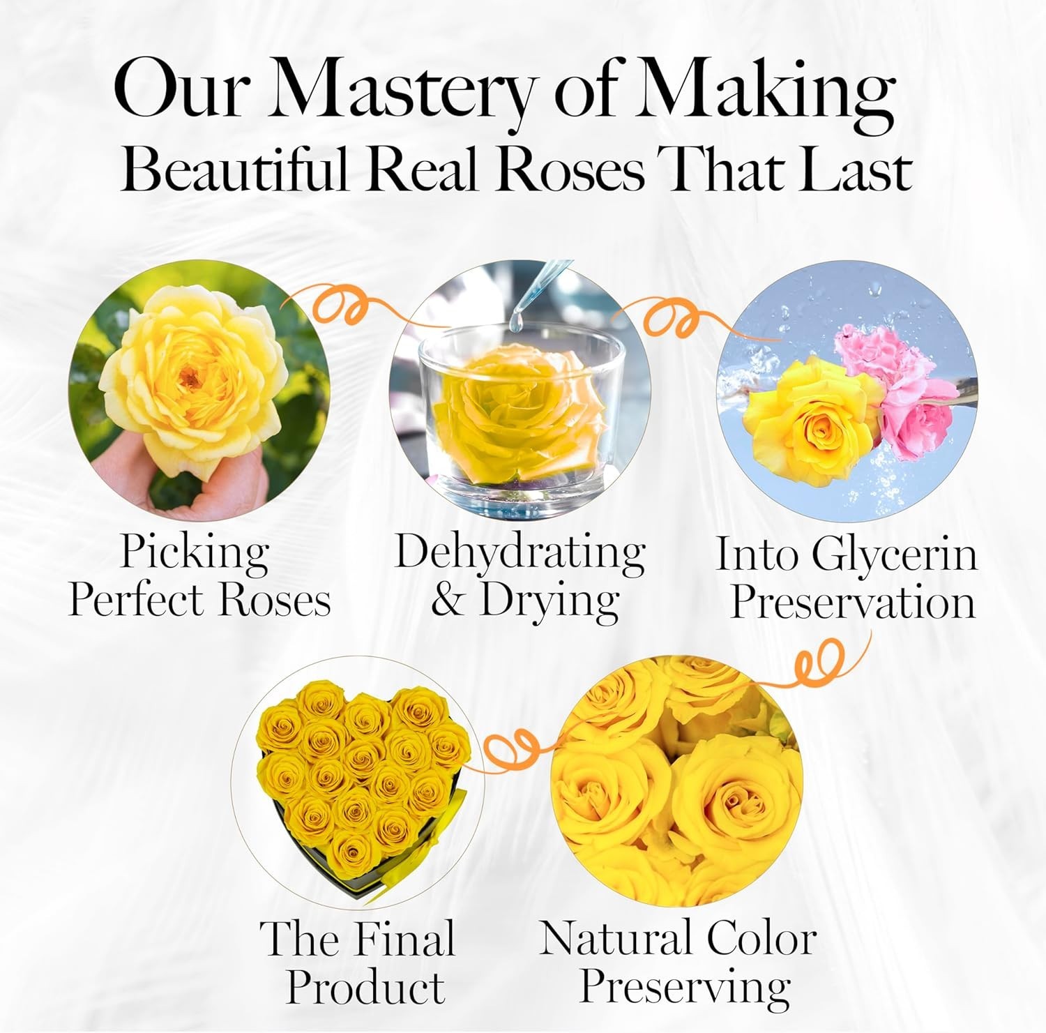 16 Yellow Eternal Roses Heart Box – Gift for Her
