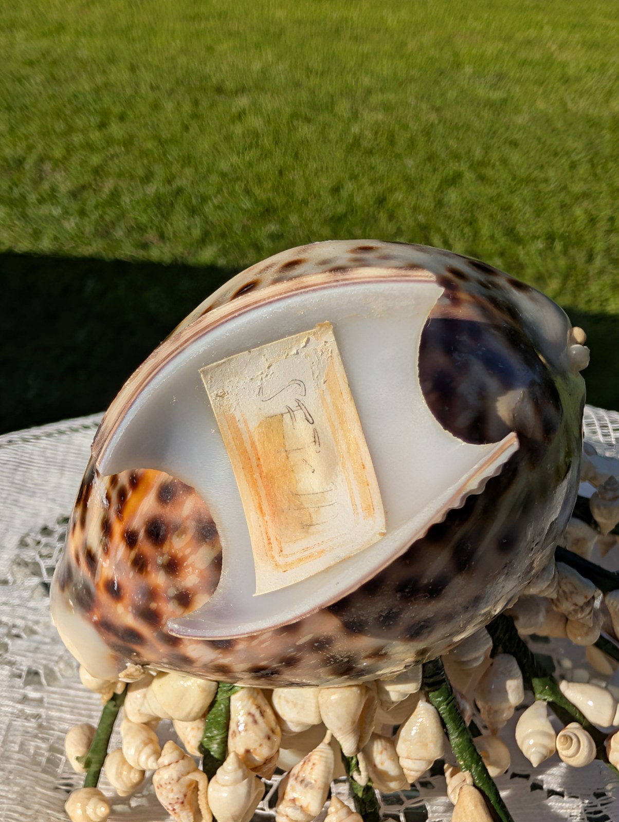 Vintage Handmade Seashell Flower Bouquet Tiger Cowrie Shell Vase Art SF-14