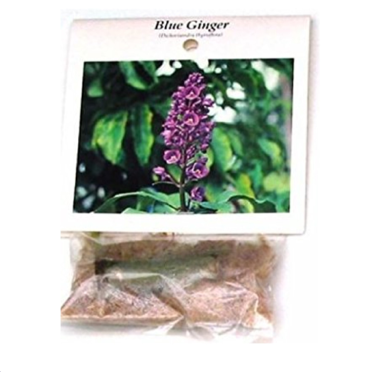 2 Hawaiian Blue (polu) Dichorisandra Thyrsiflora Ginger Plant Roots