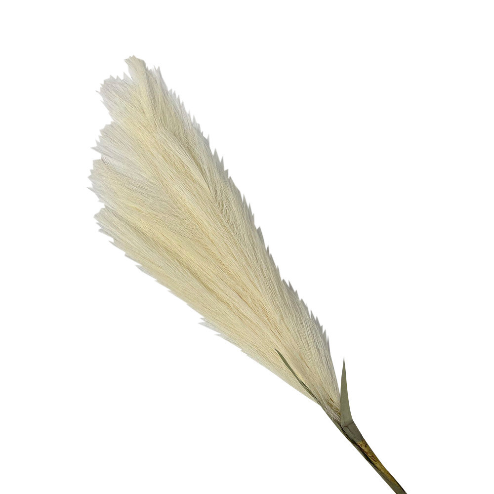 12 Pcs 33” Single Pampas Grass Plume Stem Artificial Pampas Grass Home Decor