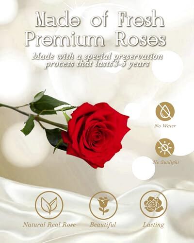 Preserved Flowers Bouquet for Her,Preserved Real Rose Present for Red Rose