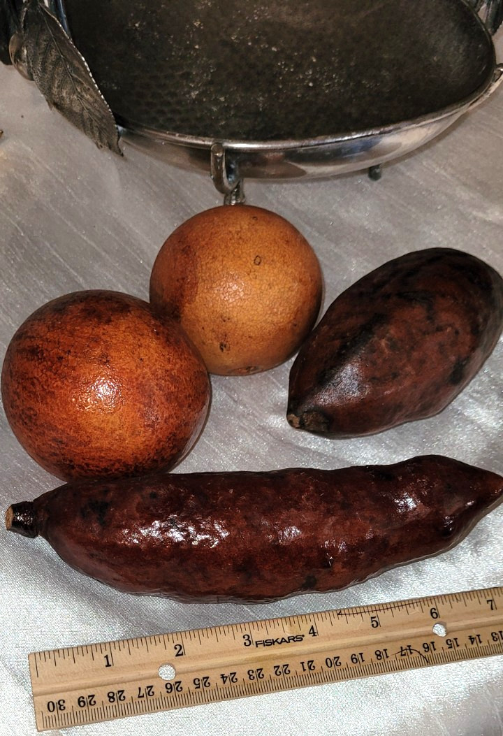 Decorative Natural Dried Tropical Seed Pods Set Of 4 Rustic Bowl Filler