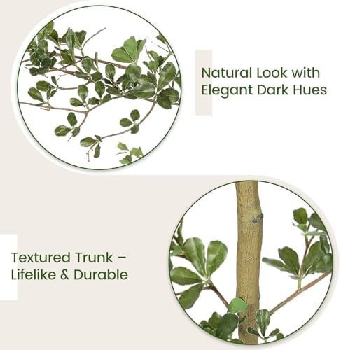 FEELEAD Faux Black Olive Tree 7ft with Natural Branches and Realistic Leave |…