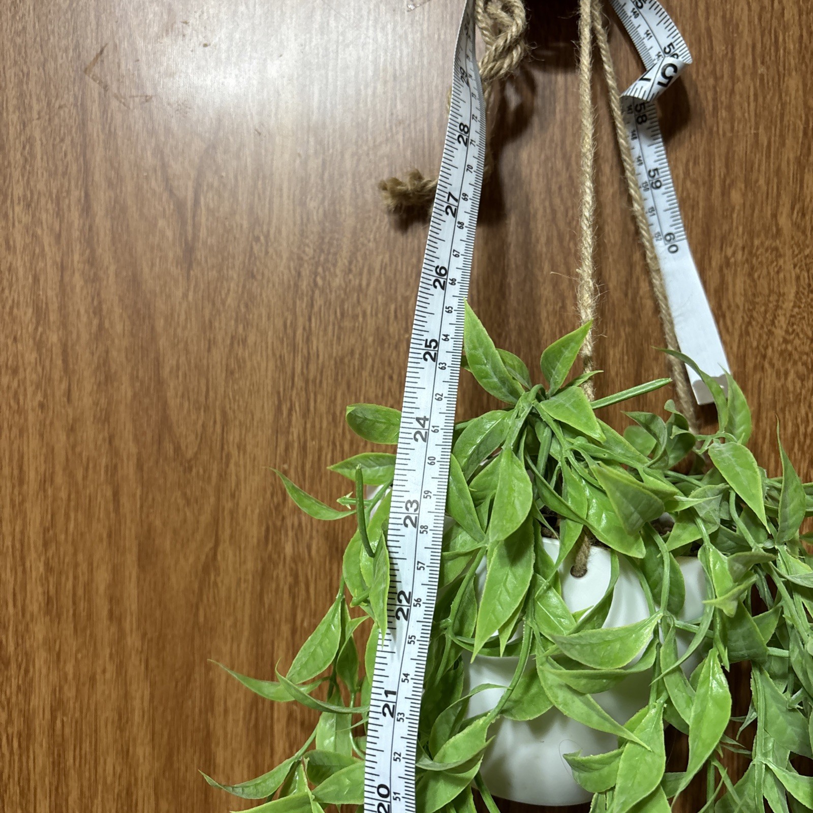 True Living Artificial Vine Hanging Plant, NWT #3
