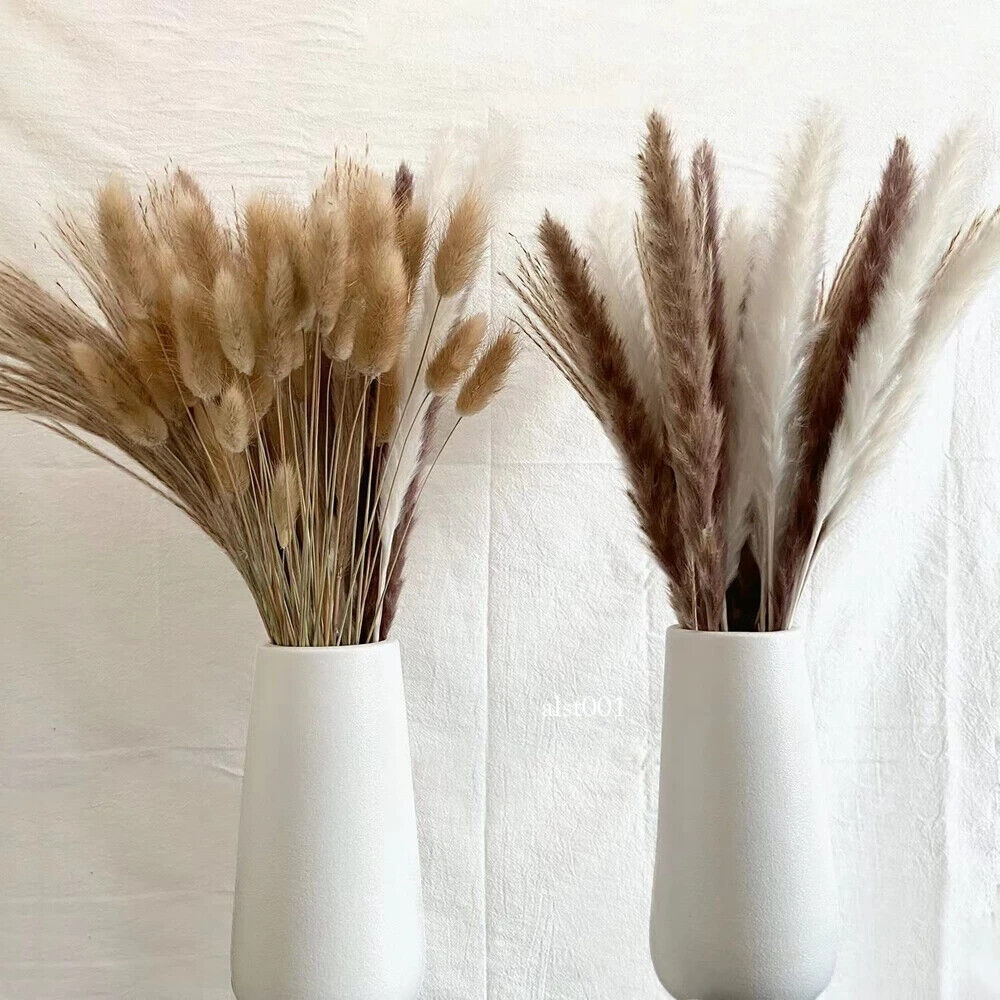 Grass Decor Home Decor Bouquet Natural Fluffy Dried Flowers for Wedding Floral