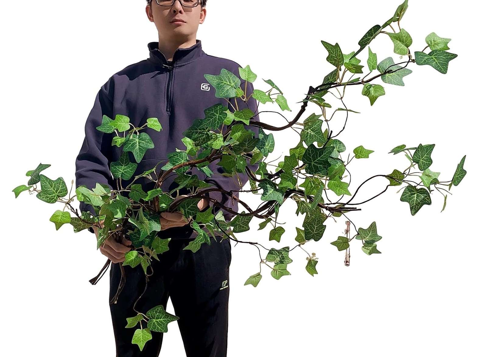 Artificial Rattan Tree Vines with Creeper Leaves Climbing Ivy Branches Grapev…