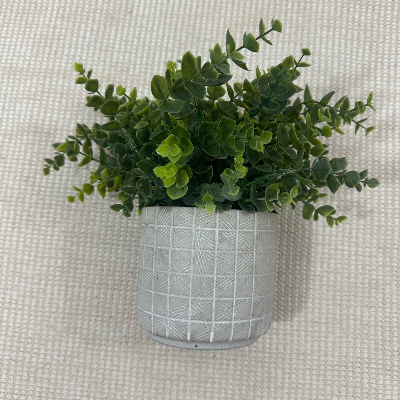 Artificial Eucalyptus Potted Plant Faux Greenery in Grey Textured Cement Pot