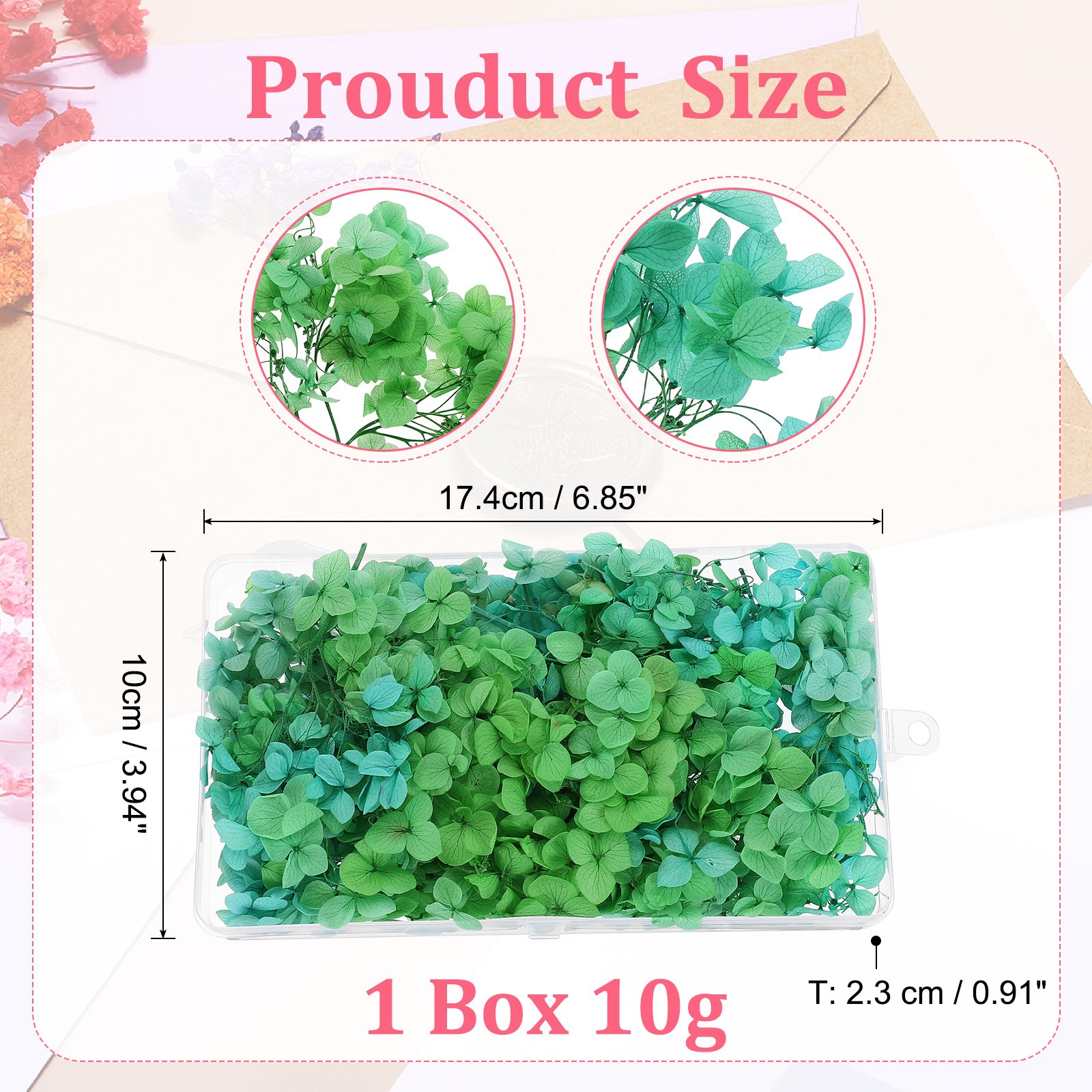 10g Mini Dried Hydrangea Flower Natural Pressed Flower Gradient, Green