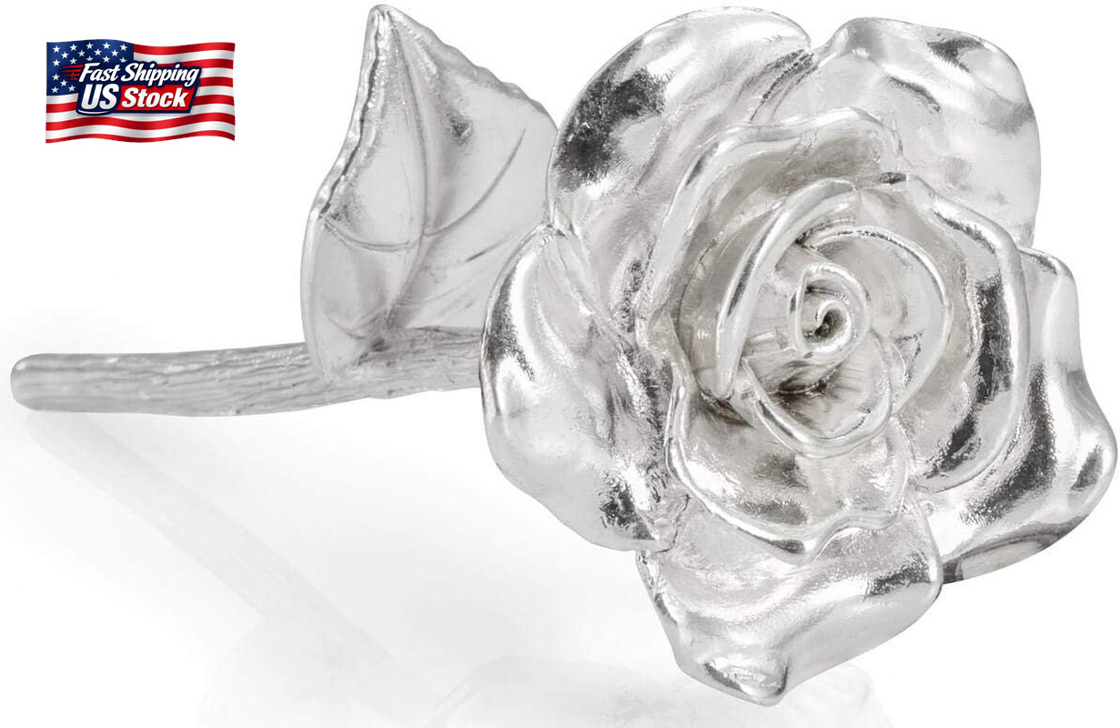 BESZONE Tin Rose 10Th Anniversary for Her Gift – Tin Gift 10 Year Wedding Annive