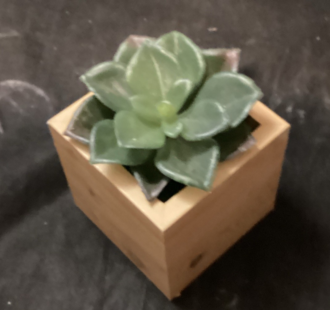 Decorative Fake Potted Succulents. New and Gently Used lot of 10 (F2)