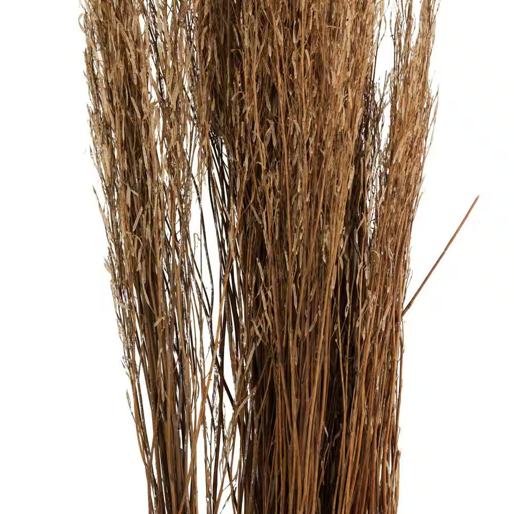 42 In. Tall Sticks Natural Foliage with Grass (One Bundle)