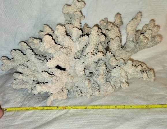 Large Faux Coral Decor Centerpiece – Heavy 4lb Cast Stone – Coastal Home Decor