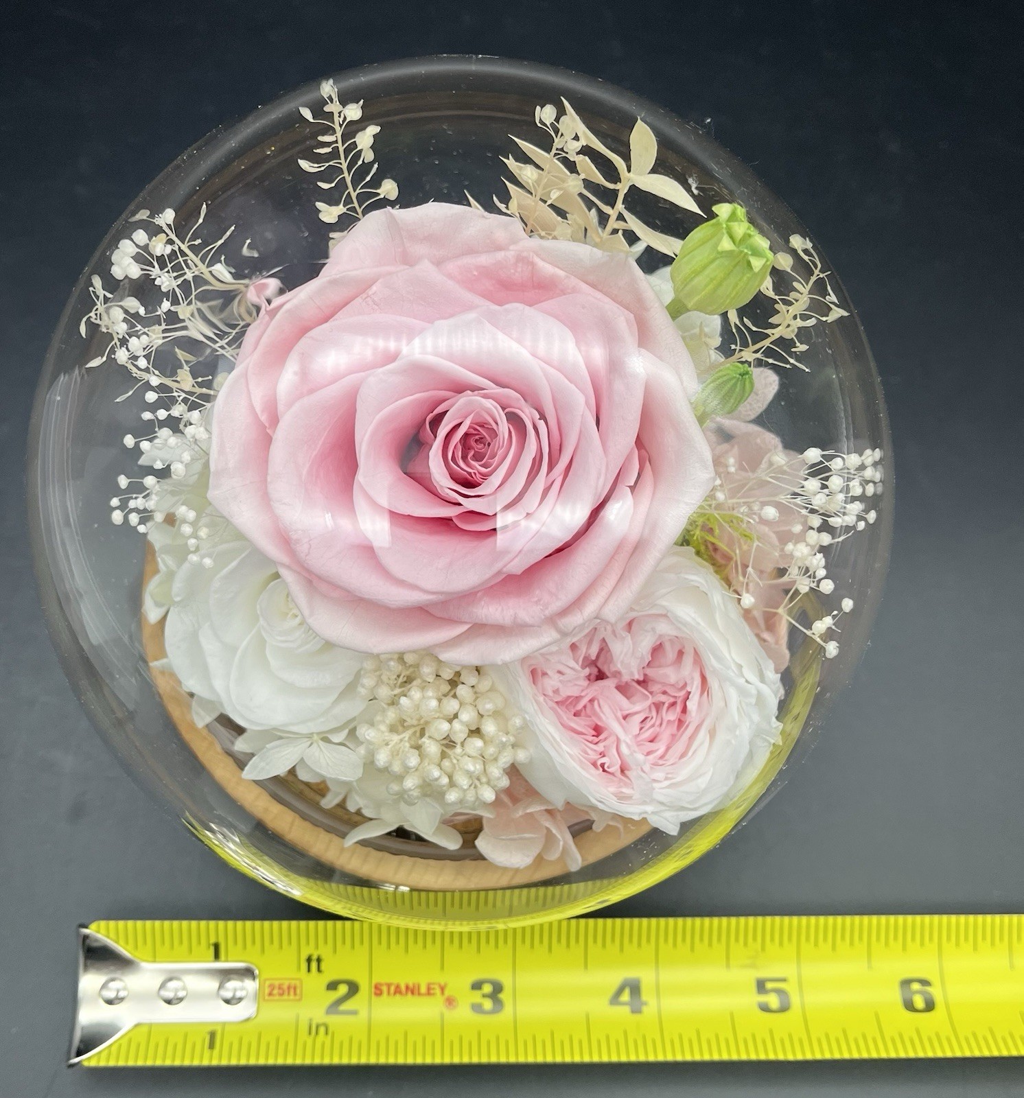 Valley of Rain & Forest Long-Lasting Real Flowers LED Light up Pink White Roses