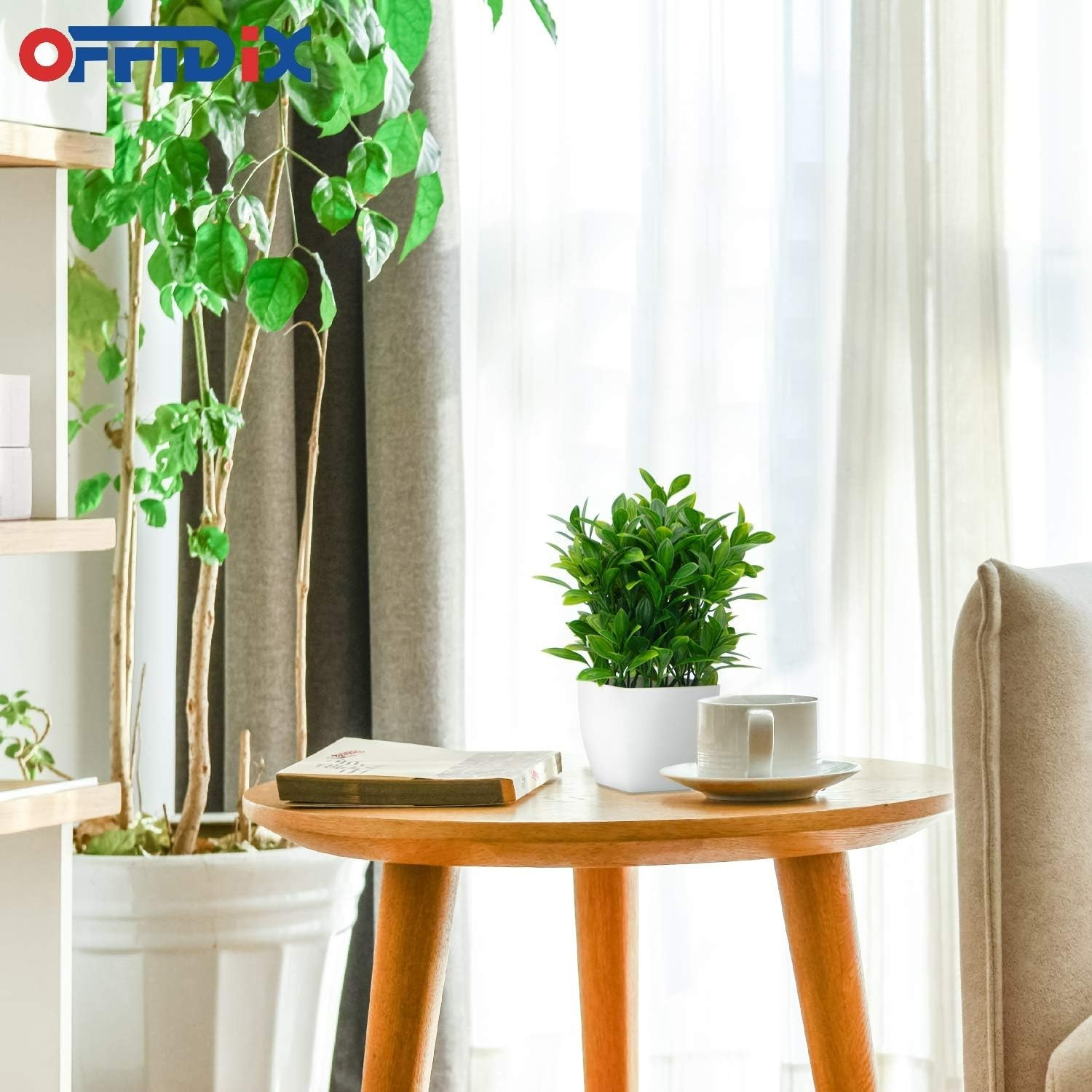 Compact Artificial Eucalyptus with Square Vase – Ideal Gift for All Occasions