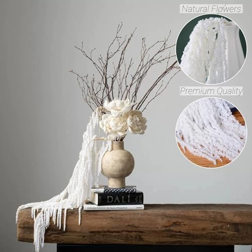 Pcs Natural Dried Wisteria Hanging Flowers – 23″ Bleached White Preserved 10