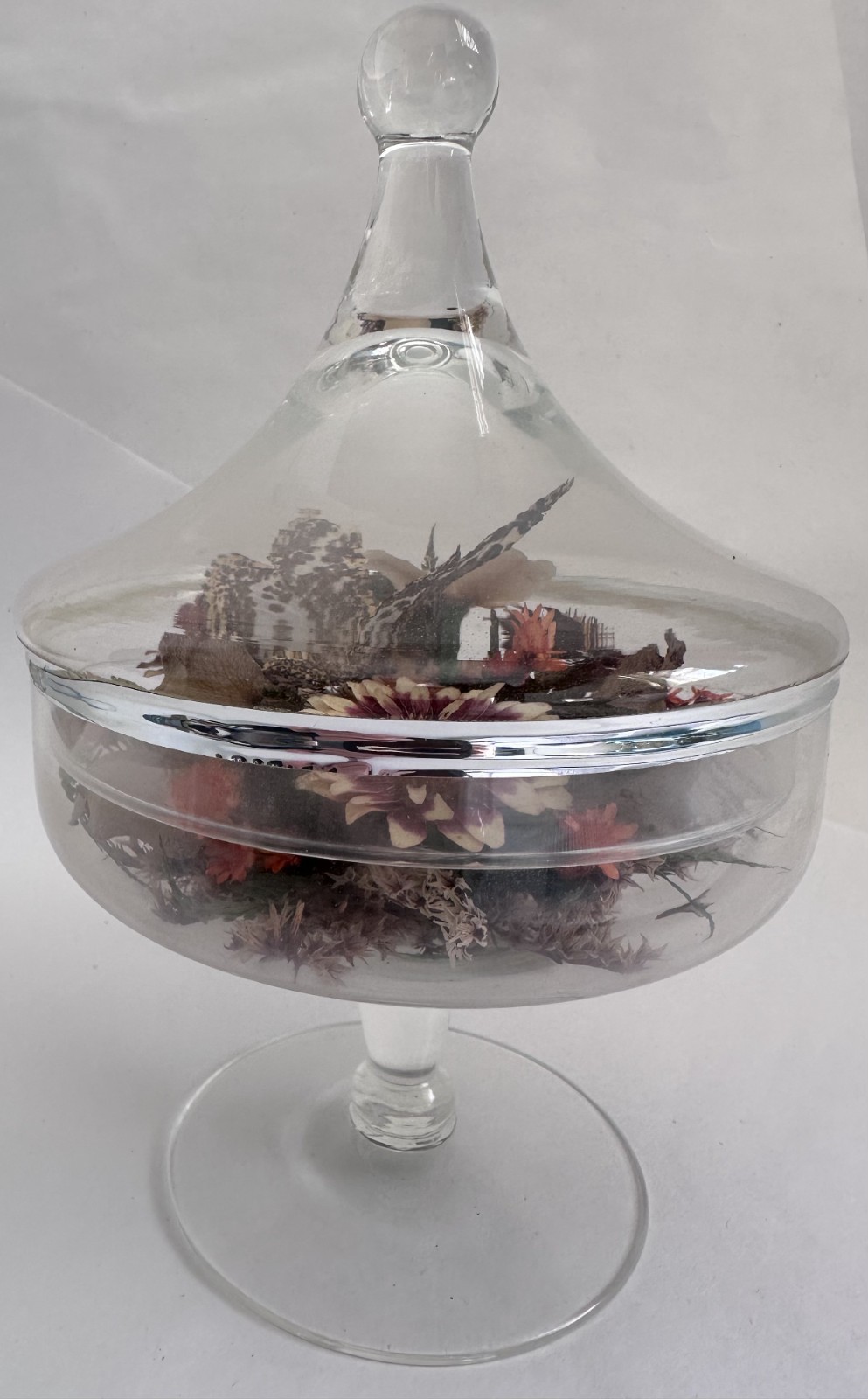Vintage Glass Cloche Terrarium Butterfly Dried Flowers Pedestal Dome Display
