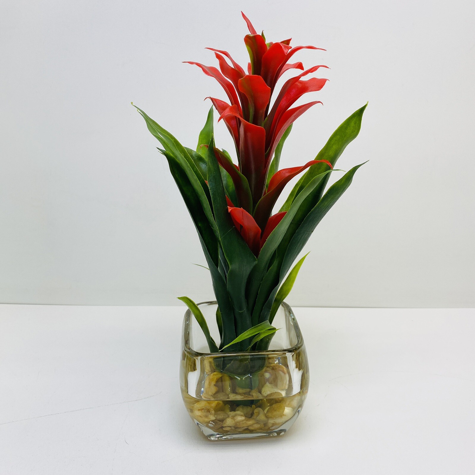 Modern Bromeliad with Glass Vase Arrangement 12″ Red