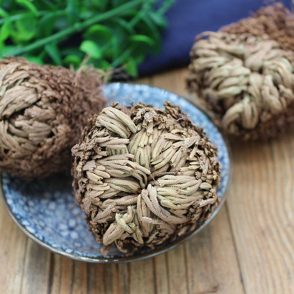 Rose of Jericho, 1-10 Packs- Resurrection Flower – Ferns – Live Plant Bulb Rose