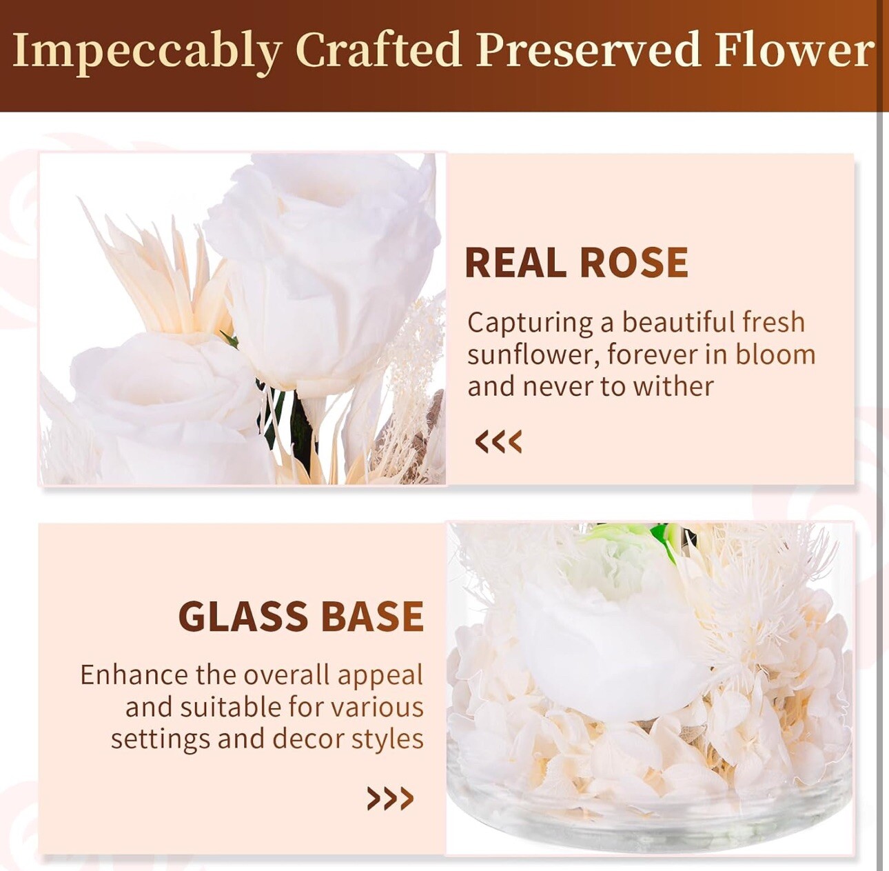 VGNQA Preserved Rose in Glass Dome White Dried Flower Arrangement Gift for Women