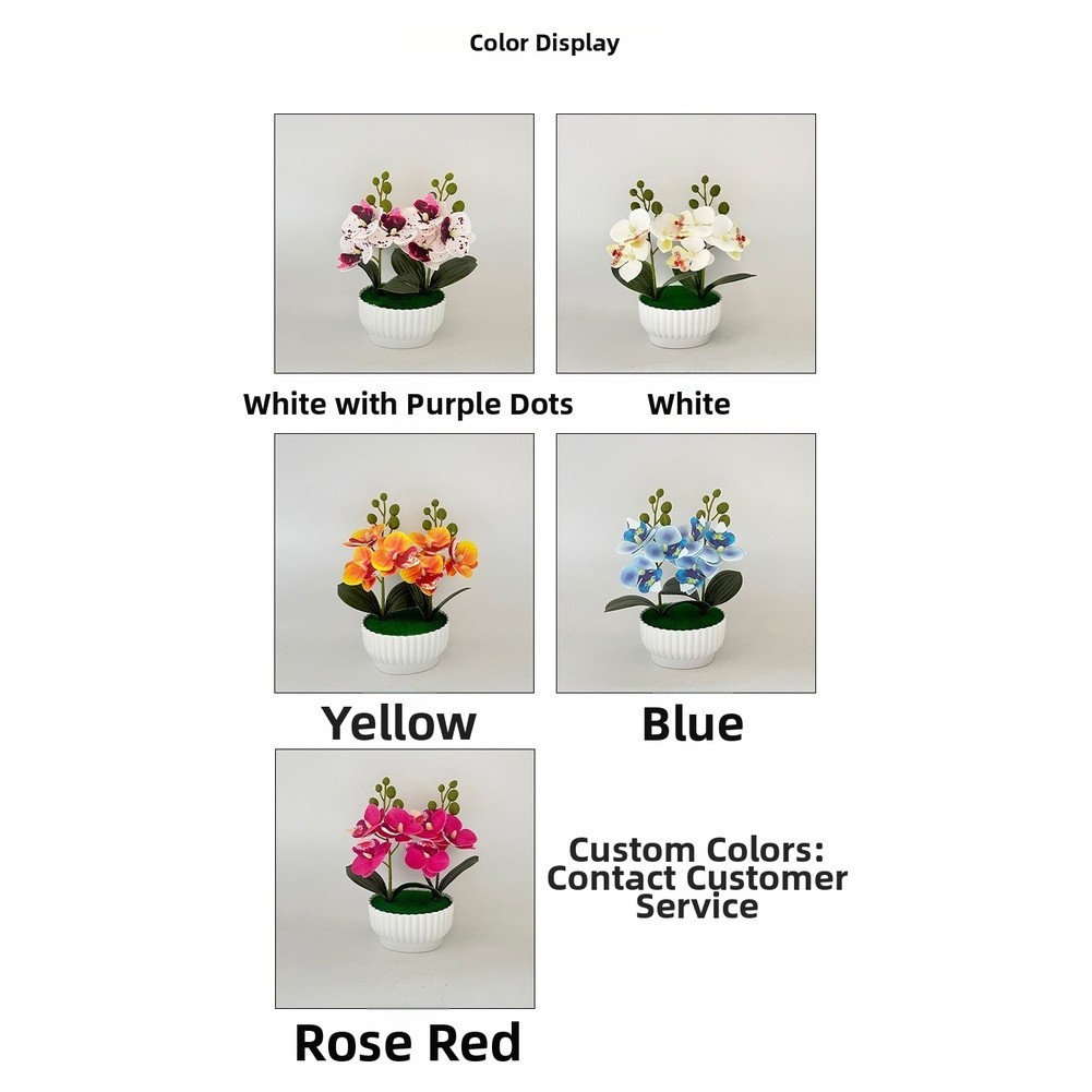 Phalaenopsis Orchid Simulation Potted Flower for Contemporary Interior Design