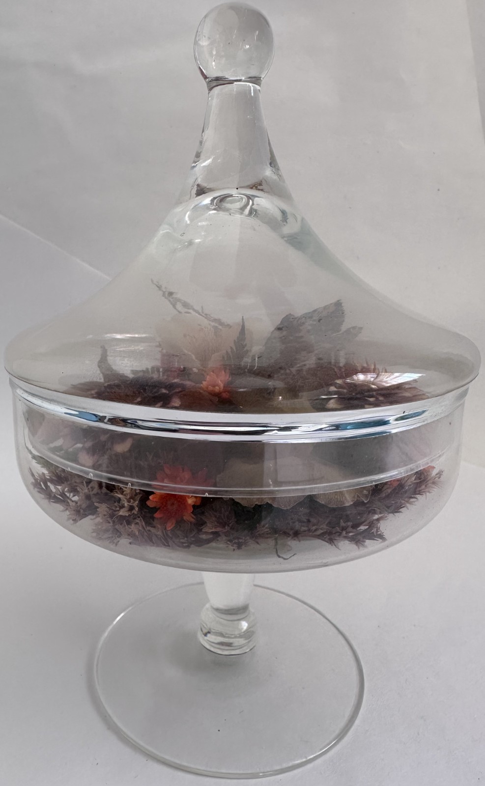 Vintage Glass Cloche Terrarium Butterfly Dried Flowers Pedestal Dome Display