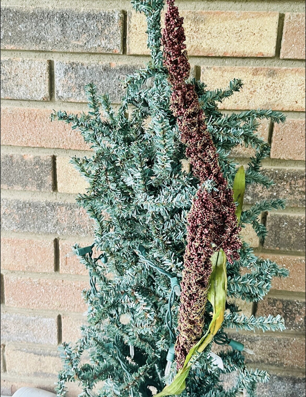 Burgundy Millet Stem, Bundle Of 3, NEW
