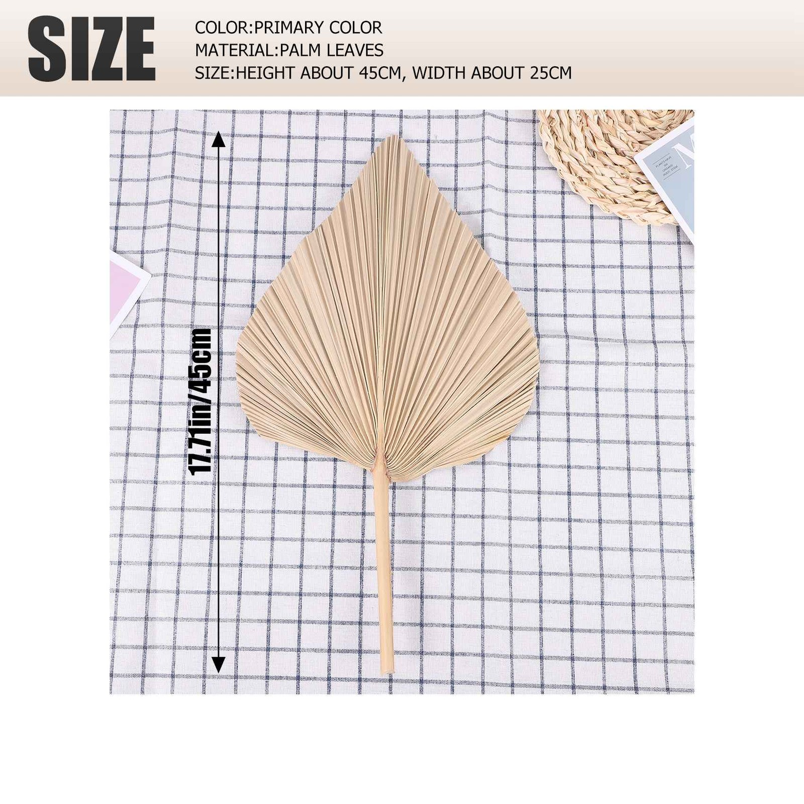 Dried Palm Leaves Room Decor 5 Pieces – 18Inch H x 10Inch W Natural Palm9330