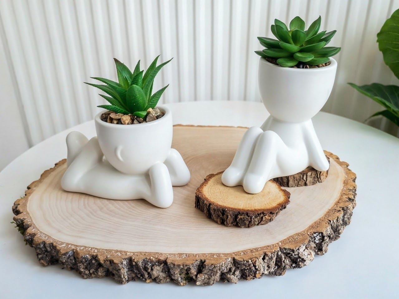 Indoor Ceramic Mini Fake Plants Collection – Perfect for Office and Home Decor