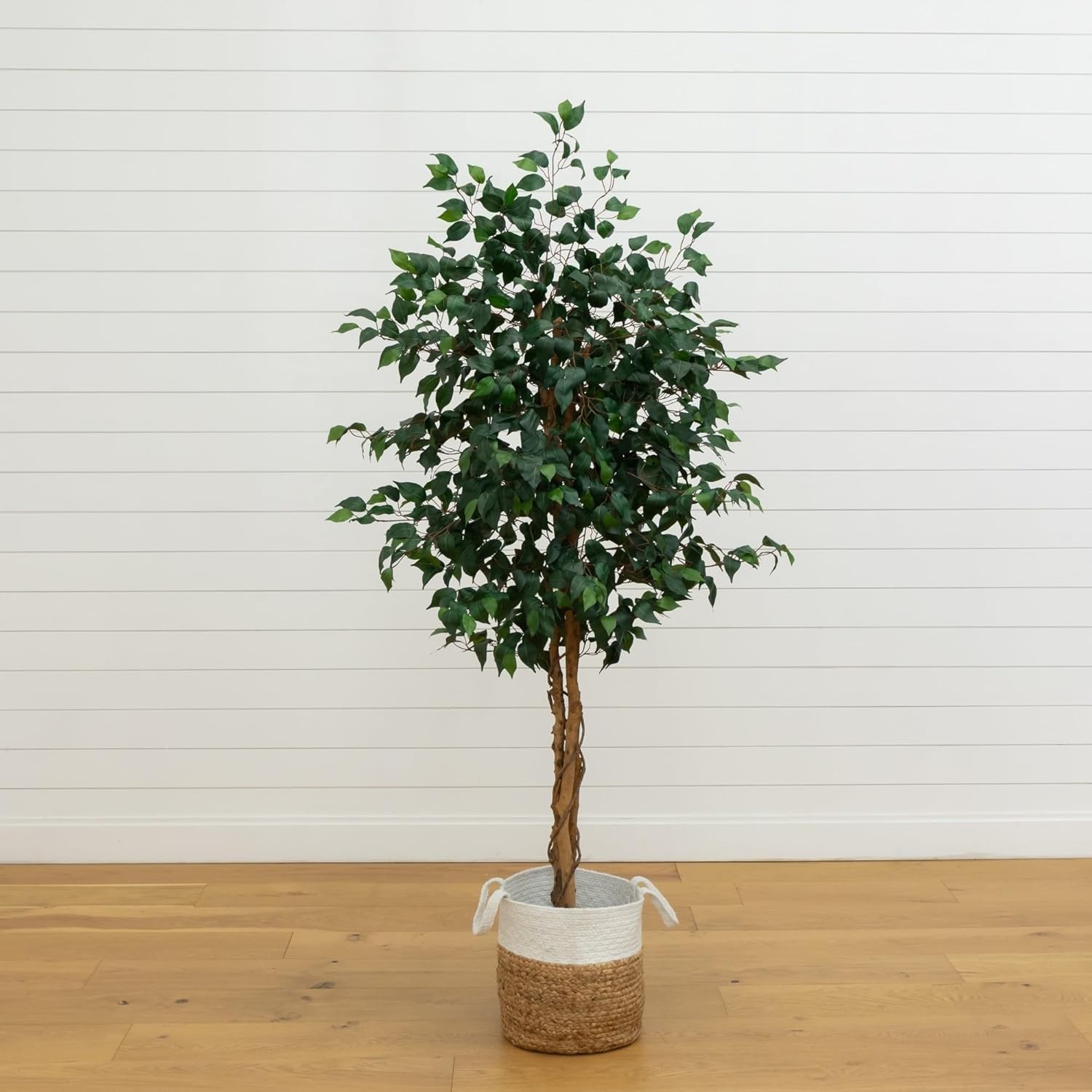 Maintenance-Free 6ft Ficus Tree in Natural Jute Planter – Perfect Indoor Accent