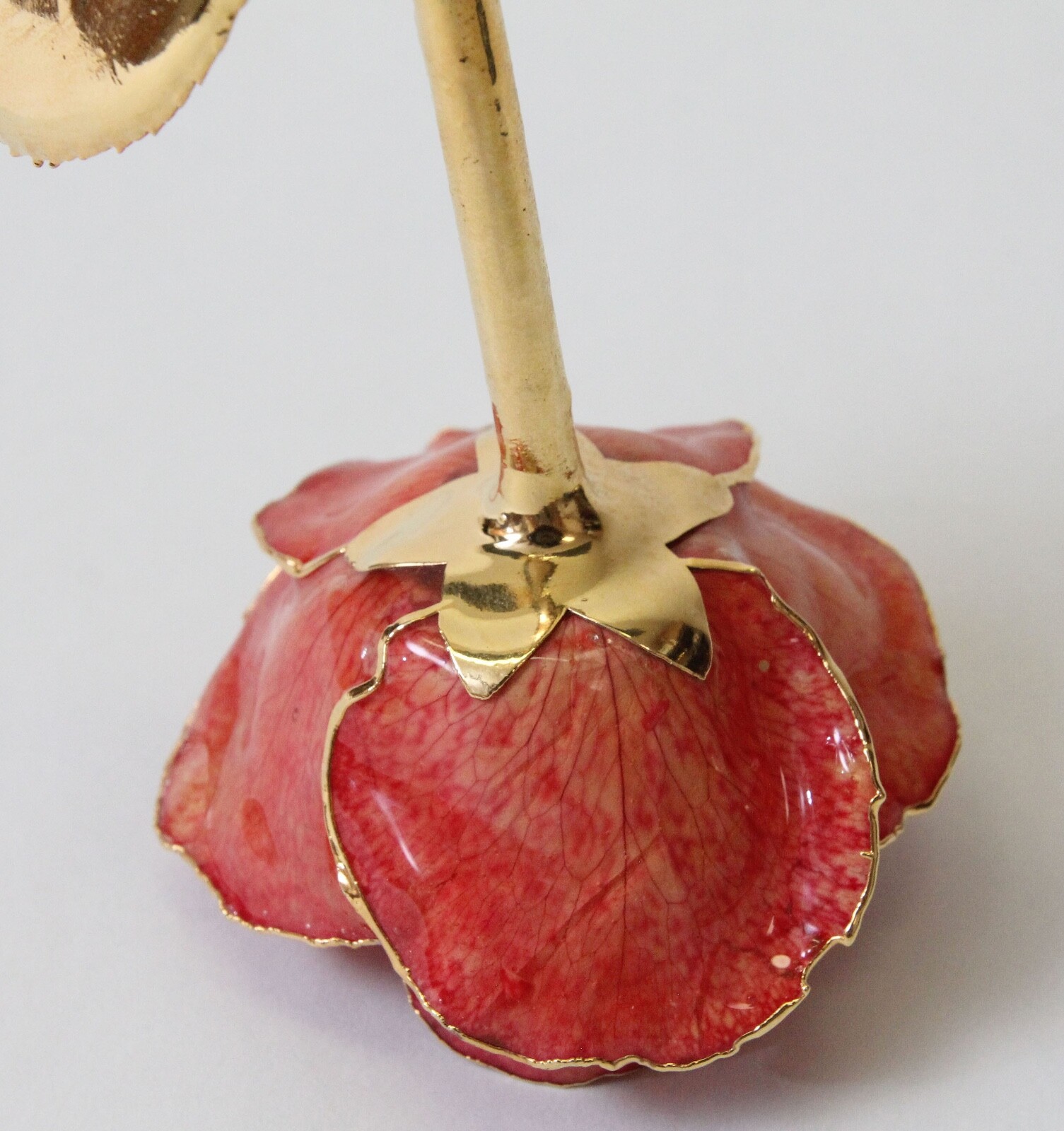 Lacquer Dipped Gold Trim Real Rose Flower 11.5″ Orangish Pink