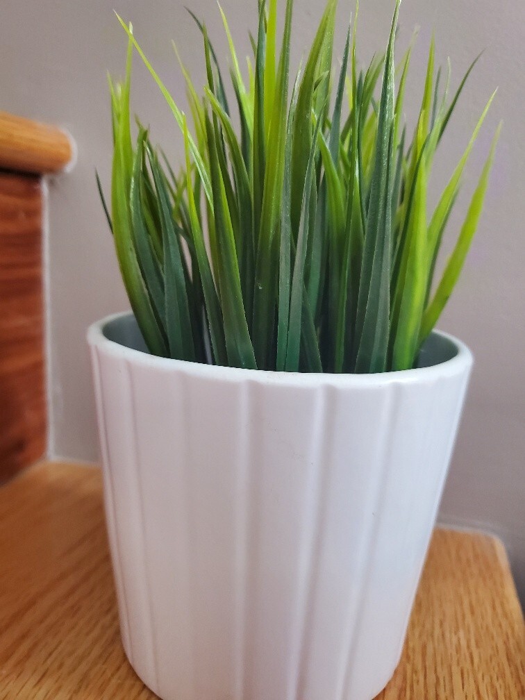 IKEA FEJKA Artificial Potted Plant + IKEA Cardemumma White Ceramic Pot 5″ x 4.5″