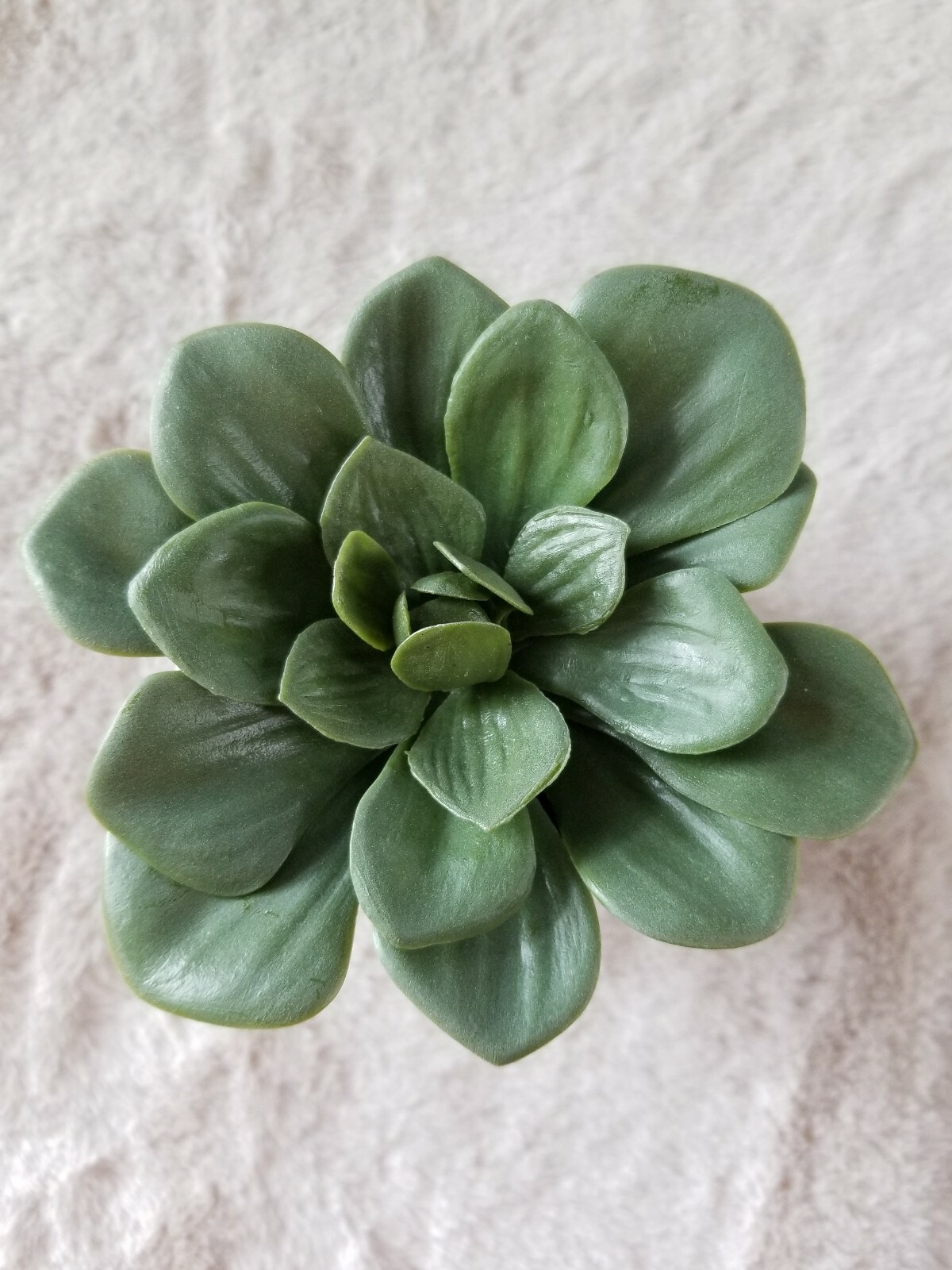 Project 62™ Artificial Green Dudleya Succulent In White Pot Set of 2 4.5″ x 4″