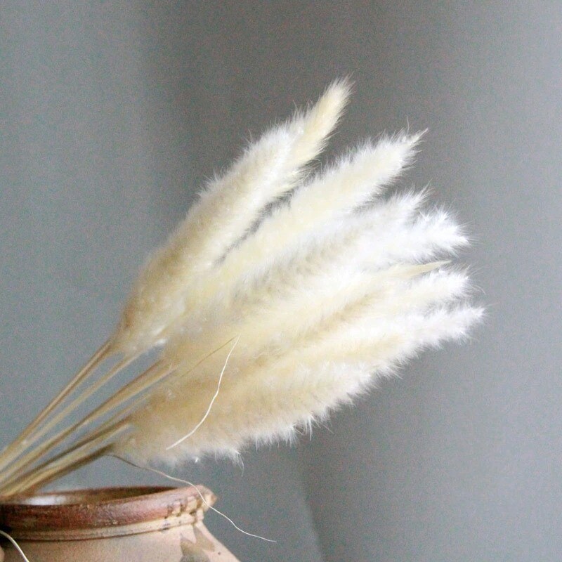 15Pcs Pampas Grass Wedding Home Decor 50cm Stems Real Dry Flower Pantas Dried
