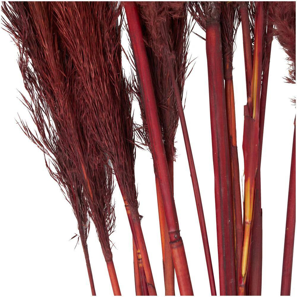 43 In. Pampas Grass Natural Foliage with Long Stems (1 Bundle)
