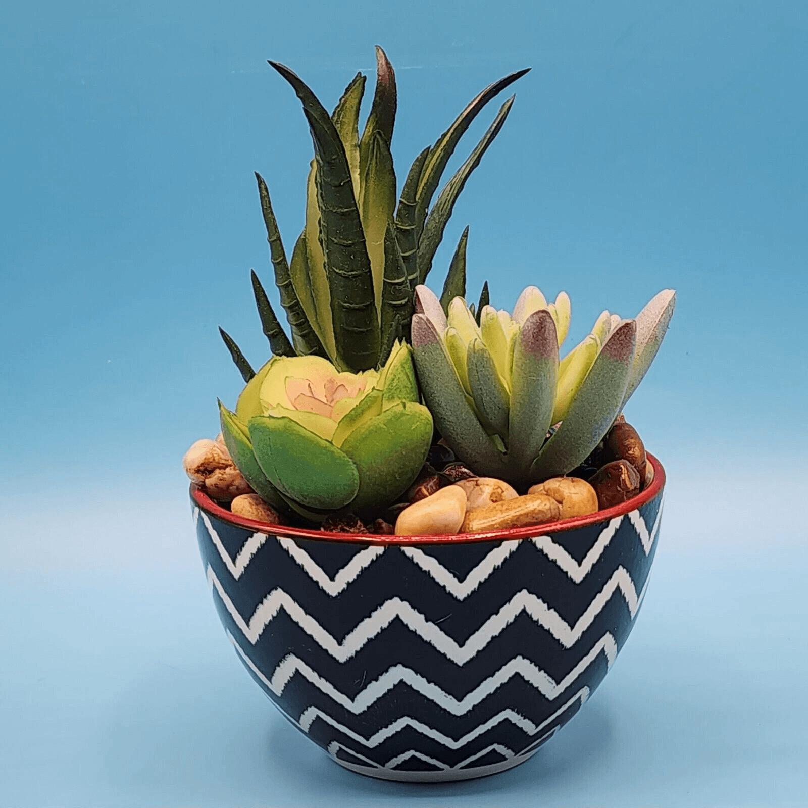 Faux Succulent Simulated Potted Plant Black White Red Chevron Pot Rock Accents