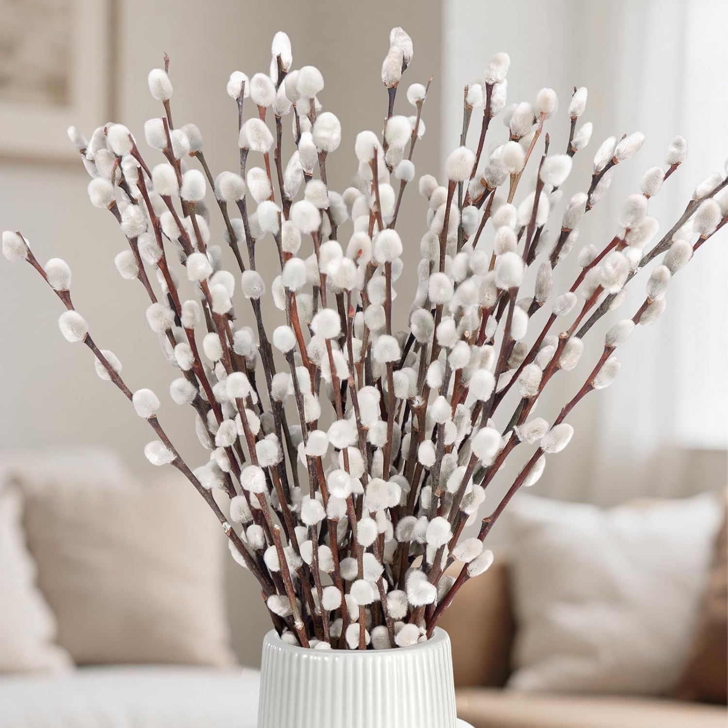 Natural Dried Pussywillow Branches 25 Stems 15-17″ Real Preserved for Vase Decor