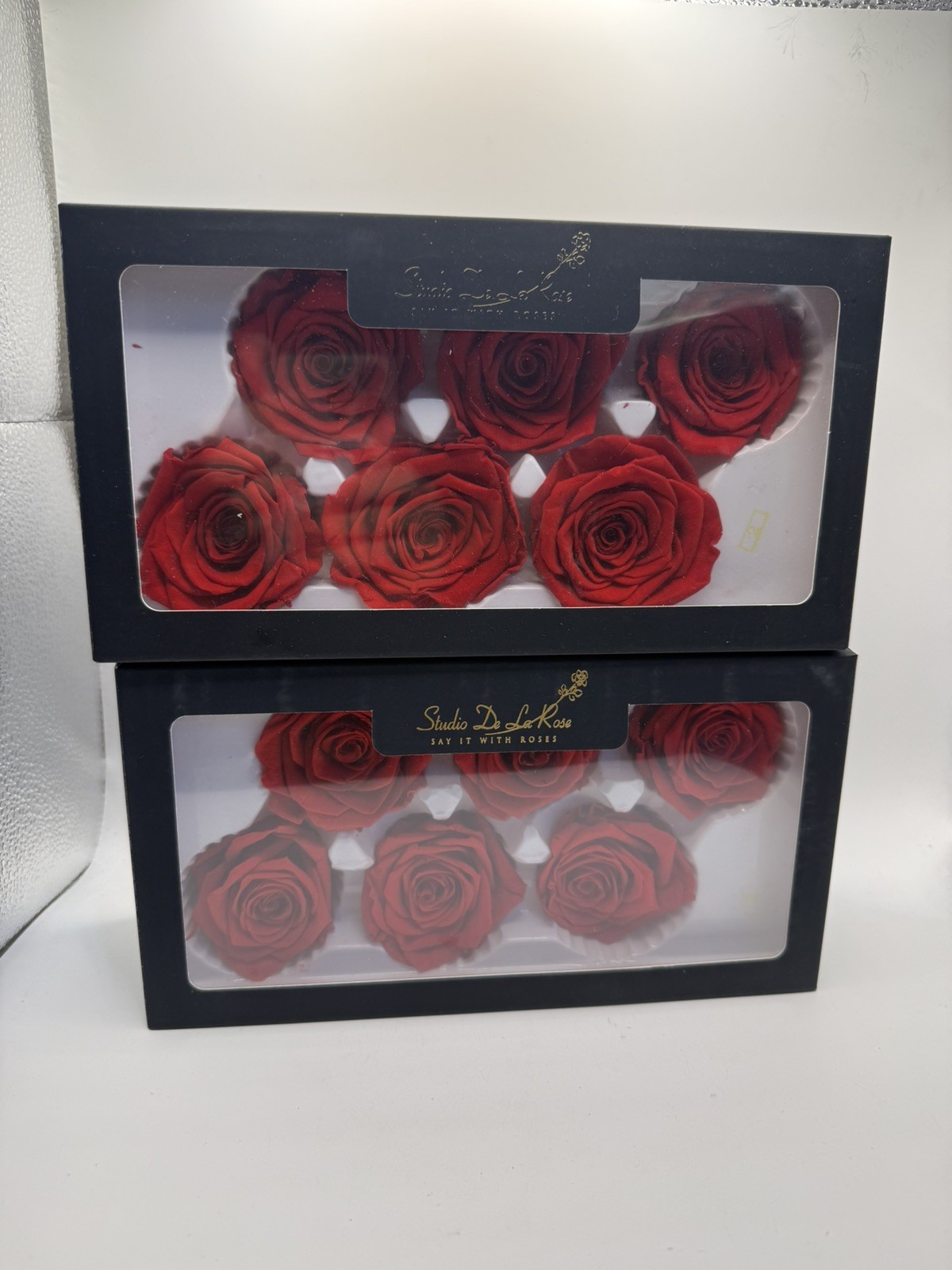 Lot of 12 Preserved Rose Flowers 100% Real Studio De La Rose RED SEALED