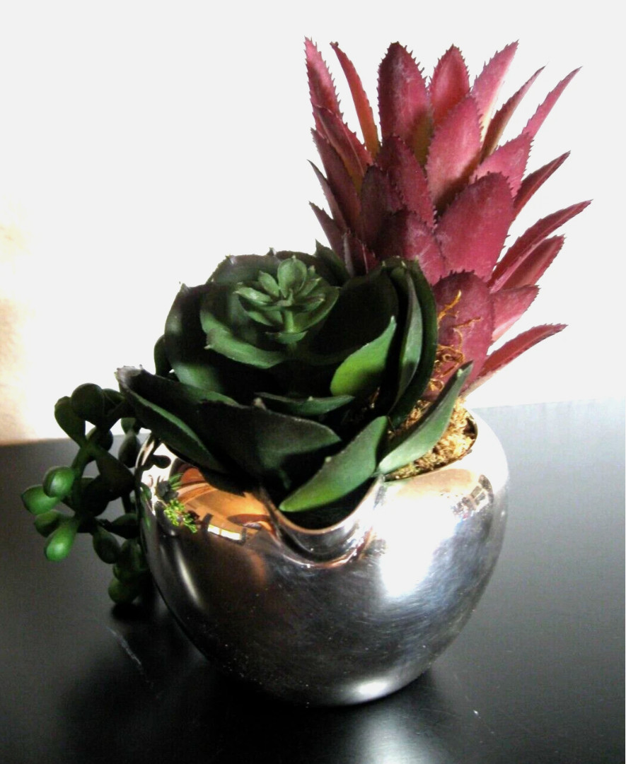 House Plant – Home Decor, Nice, Beautiful, Faux, Fake Sedum MCM Containers