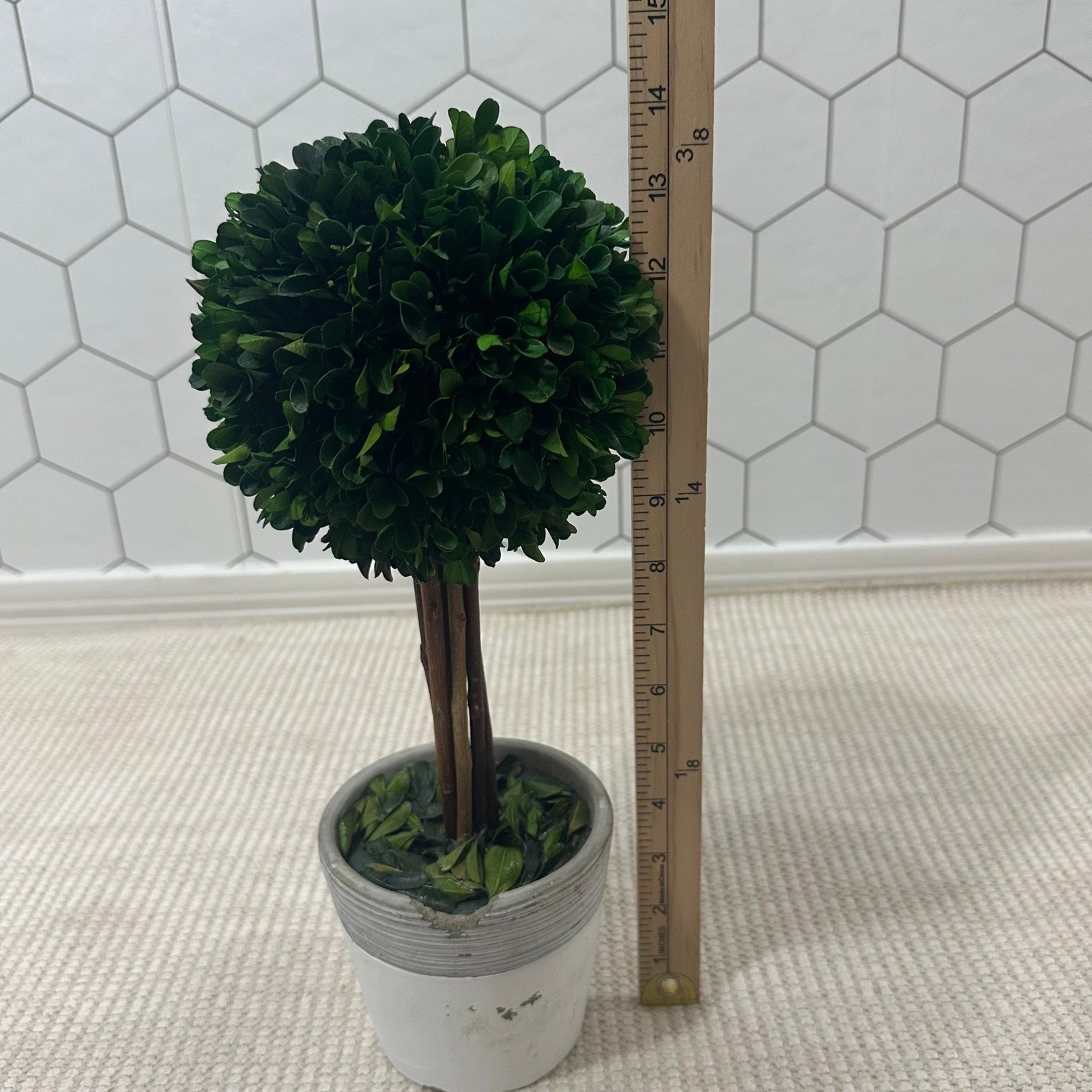 Preserved Boxwood Topiary Tree Round Ball in Distressed Grey Pot 15 Inch Green