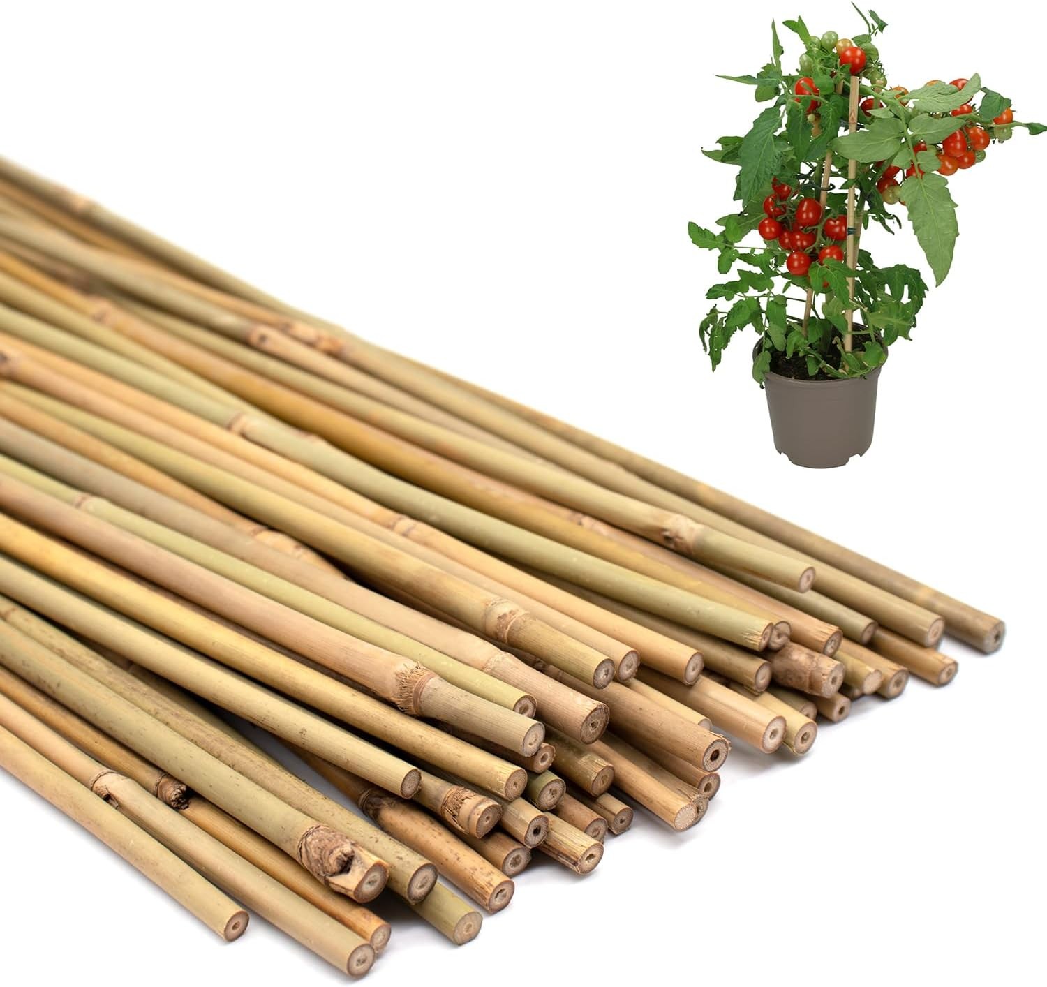 50PCS Plant Stakes,16 Inch Natural Bamboo Stakes,Garden Stakes for Indoor and Ou