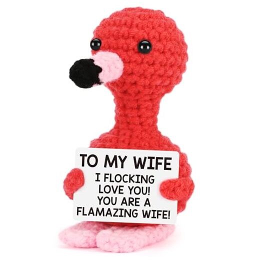 Gifts for Wife Christmas from Husband, Wife Anniversary Women Gifts Wife Gift